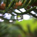 olloclip: Raindrop - Macro