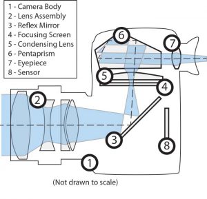 DSLR – Illustration – Basics With Numbers – TTAC