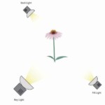 DSLR - Illustration - Three Point Lighting