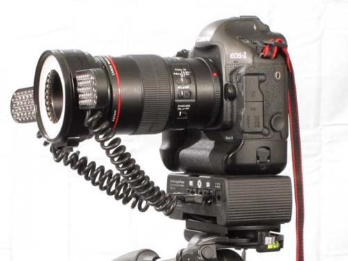 DSLR - Product Shots - Canon 1D Mark IV
